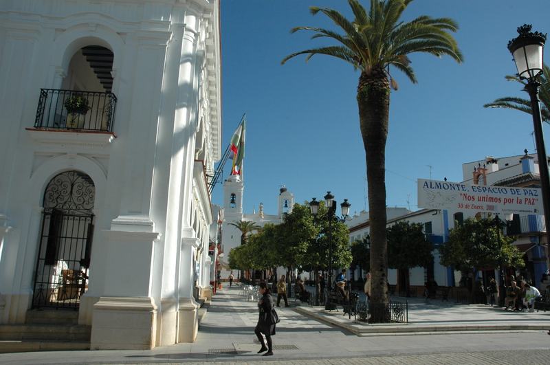 Doñana y Entorno