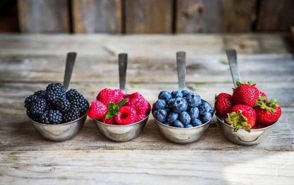 Almonte apuesta por impulsar el sector de los frutos rojos y fortalecer uno de los grandes motores de su economía