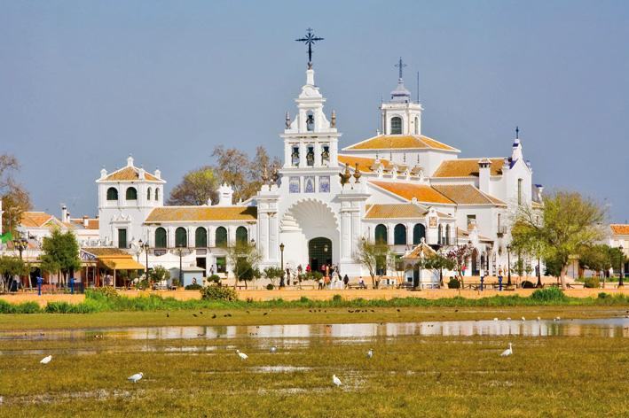 Doñana y Entorno
