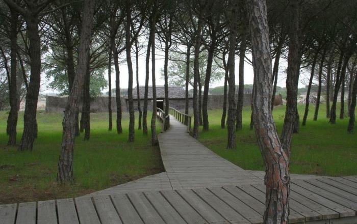 La Junta destina más de 725.000 euros a reparar daños de los temporales en Doñana