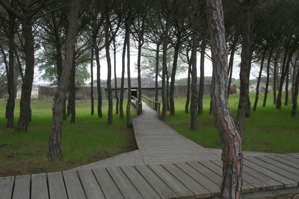 La Junta destina más de 725.000 euros a reparar daños de los temporales en Doñana