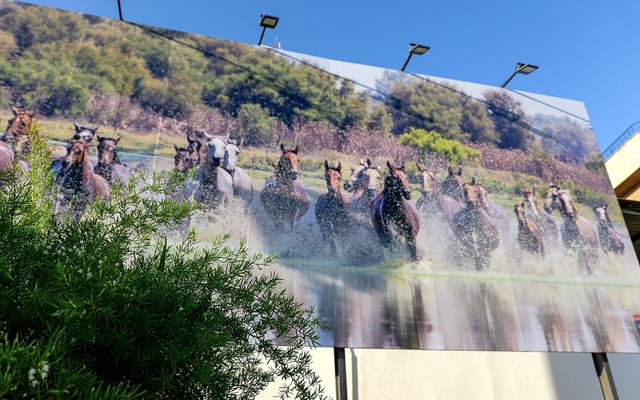 Almonte da la bienvenida a la Saca de las Yeguas 2026 con un nuevo cartel anunciador