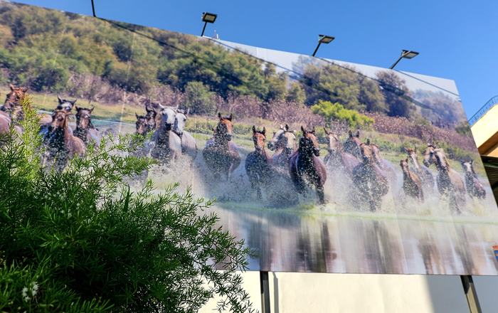 Almonte da la bienvenida a la Saca de las Yeguas 2026 con un nuevo cartel anunciador