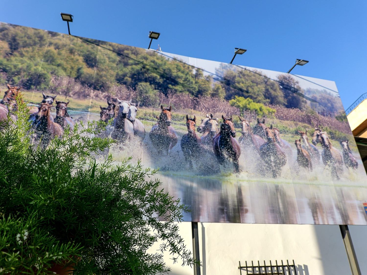 Almonte da la bienvenida a la Saca de las Yeguas 2026 con un nuevo cartel anunciador