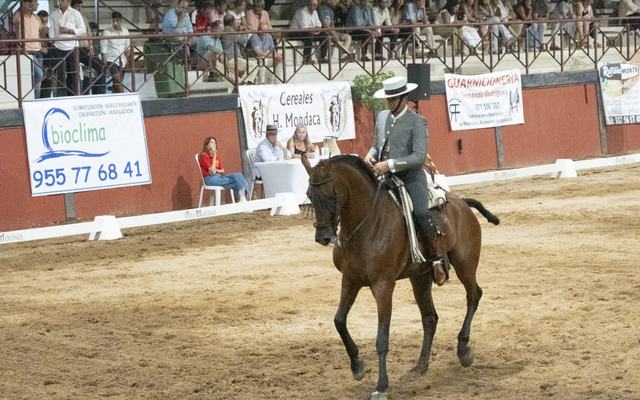 El Rocío consolida su renacer ecuestre con el Campeonato de España de Equitación de Trabajo