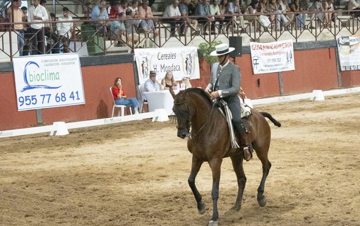 El Rocío consolida su renacer ecuestre con el Campeonato de España de Equitación de Trabajo