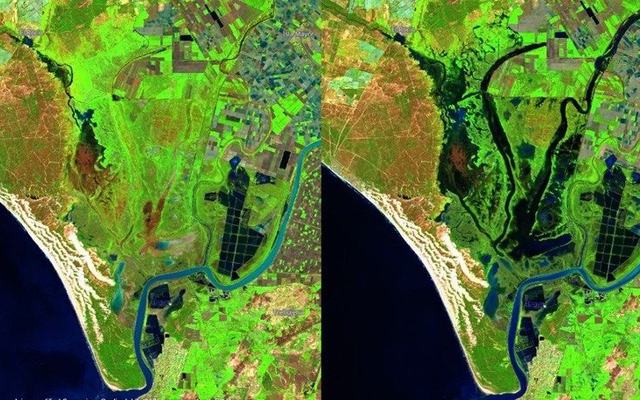 El acuífero de Doñana registra una mejoría en las zonas más sensibles