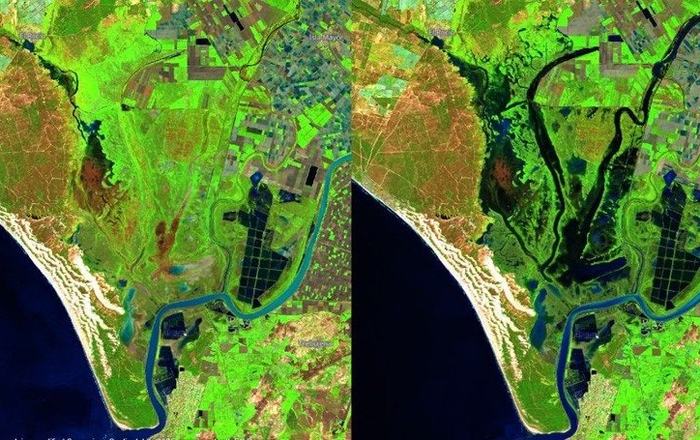 El acuífero de Doñana registra una mejoría en las zonas más sensibles
