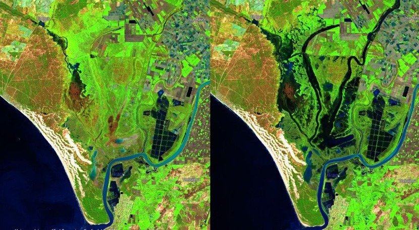 El acuífero de Doñana registra una mejoría en las zonas más sensibles