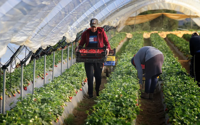 Los agricultores de Almonte lideran un proyecto pionero para anticiparse a las nuevas exigencias europeas