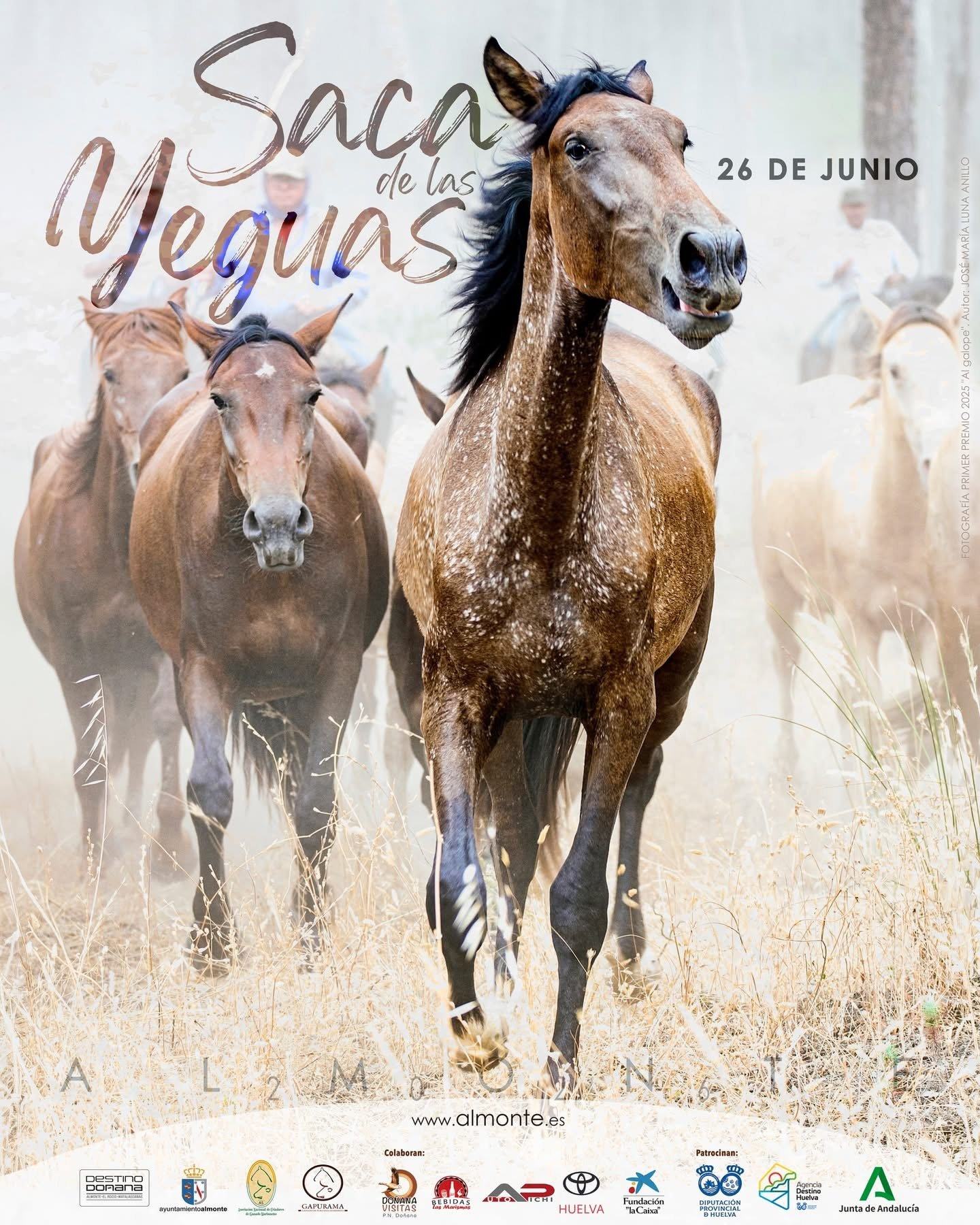 La Asociación de Criadores presenta el cartel de la Saca de las Yeguas 2026 en El Rocío