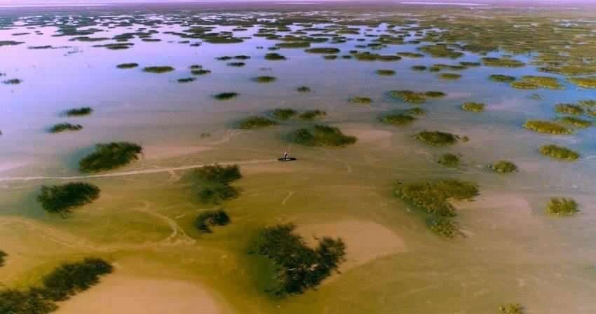 Almonte da un paso adelante en la gestión del agua con la primera Comunidad de Usuarios de Aguas Subterráneas del Guadalquivir