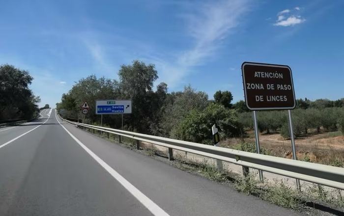 Fallece un ciclista de 66 años tras una colisión con un camión en la A-494, en Almonte