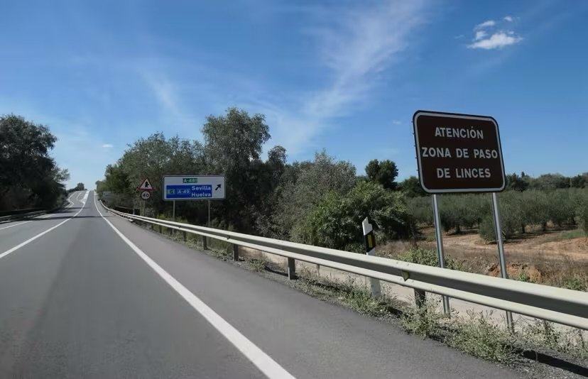 Fallece un ciclista de 66 años tras una colisión con un camión en la A-494, en Almonte