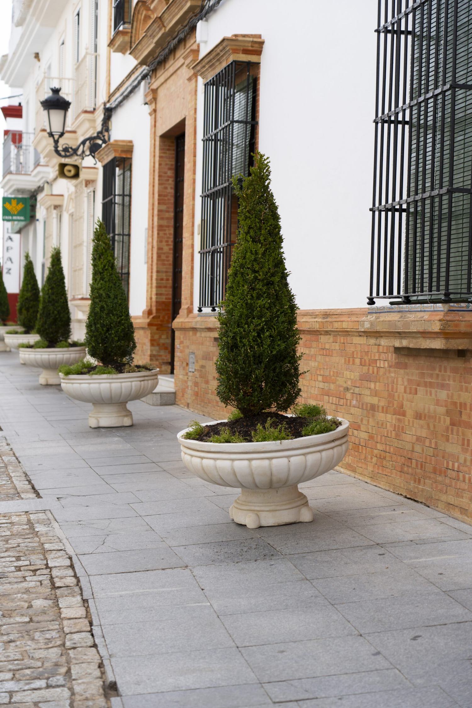 La nueva imagen del entorno de La Asunción conquista a vecinos y visitantes