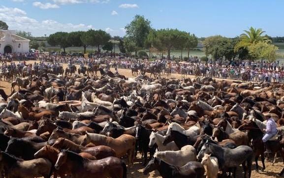 Todo lo que debes saber para la Saca de las Yeguas 2026: recorrido, horarios, cortes de tráfico y zonas de paso