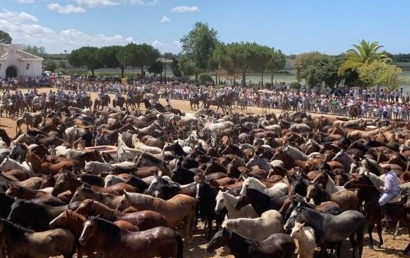 Todo lo que debes saber para la Saca de las Yeguas 2026: recorrido, horarios, cortes de tráfico y zonas de paso