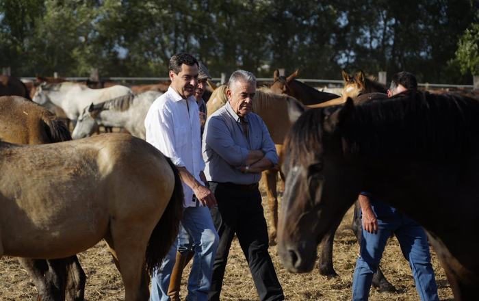 Juanma Moreno y Carolina Marín arropan la Saca de las Yeguas en una jornada de respaldo institucional a la tradición almonteña