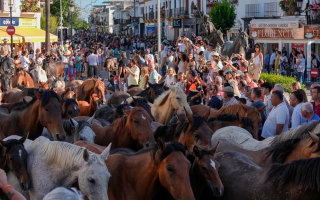 La emoción toma las calles de Almonte con la entrada de las primeras tropas de la Saca de las Yeguas