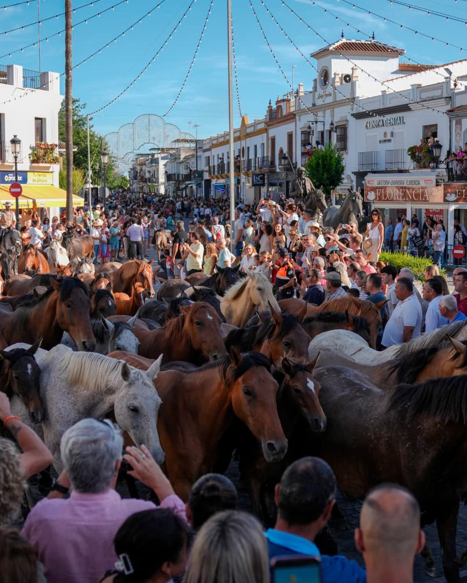 La emoción toma las calles de Almonte con la entrada de las primeras tropas de la Saca de las Yeguas