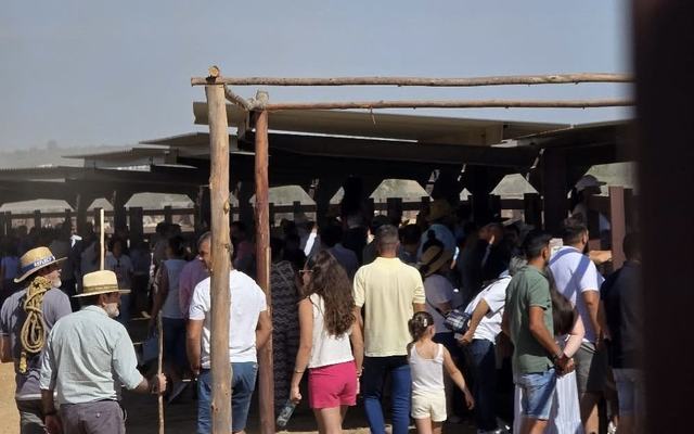 La Feria Agroganadera de Almonte arranca con una gran respuesta de público y el orgullo por la raza marismeña