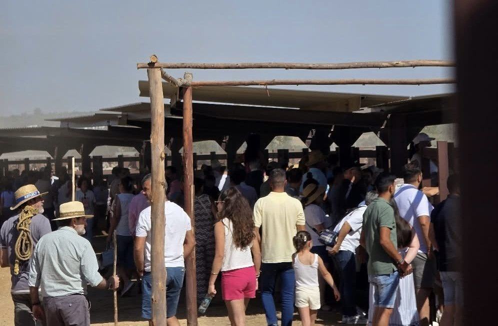 La Feria Agroganadera de Almonte arranca con una gran respuesta de público y el orgullo por la raza marismeña