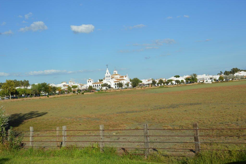 El Ayuntamiento de Almonte destaca el compromiso de la localidad con la protección y conservación de Doñana