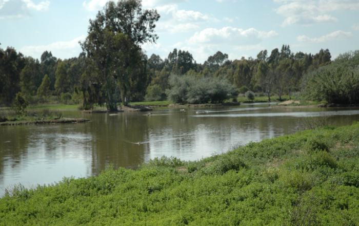 Almonte necesita una solución definitiva para salvar a Doñana de la sequía
