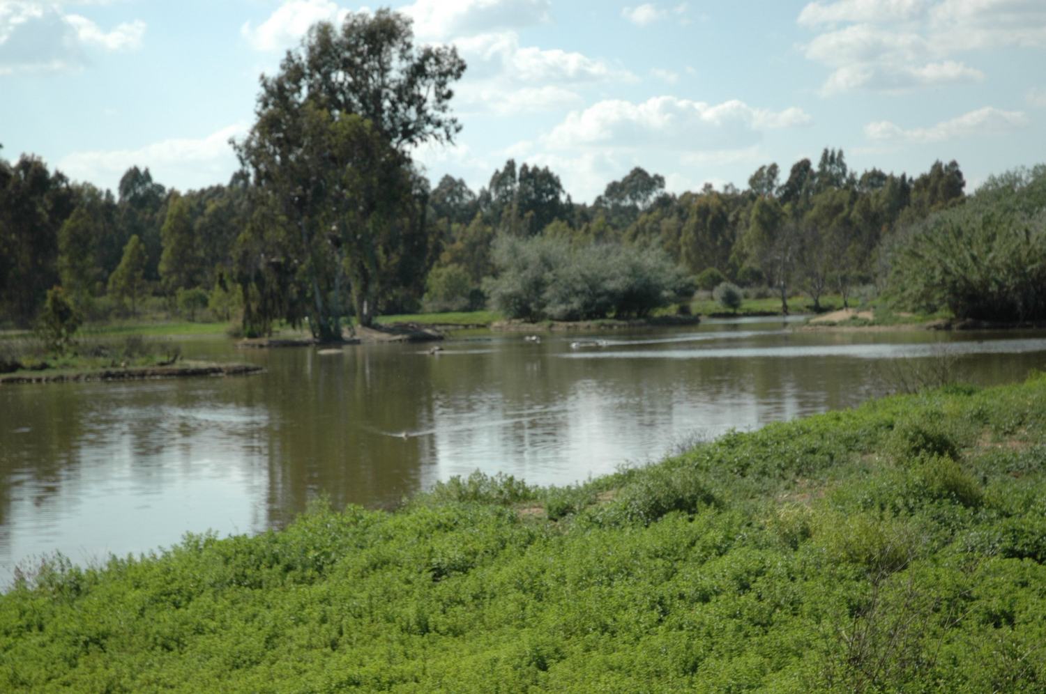 Almonte necesita una solución definitiva para salvar a Doñana de la sequía