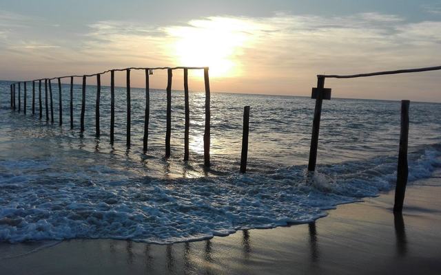 La frontera más bella del Atlántico: los emblemáticos “palos” de Matalascañas, la puerta de entrada a Doñana