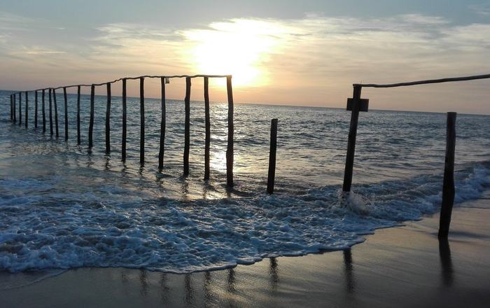 La frontera más bella del Atlántico: los emblemáticos “palos” de Matalascañas, la puerta de entrada a Doñana