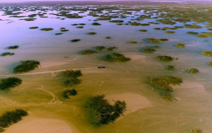 Almonte marca un hito en la gestión del agua con la primera Comunidad de Usuarios de Aguas Subterráneas del Guadalquivir