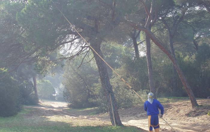 El Alcalde de Almonte insiste en que el acuerdo por Doñana «debe incluir también la aportación al territorio»