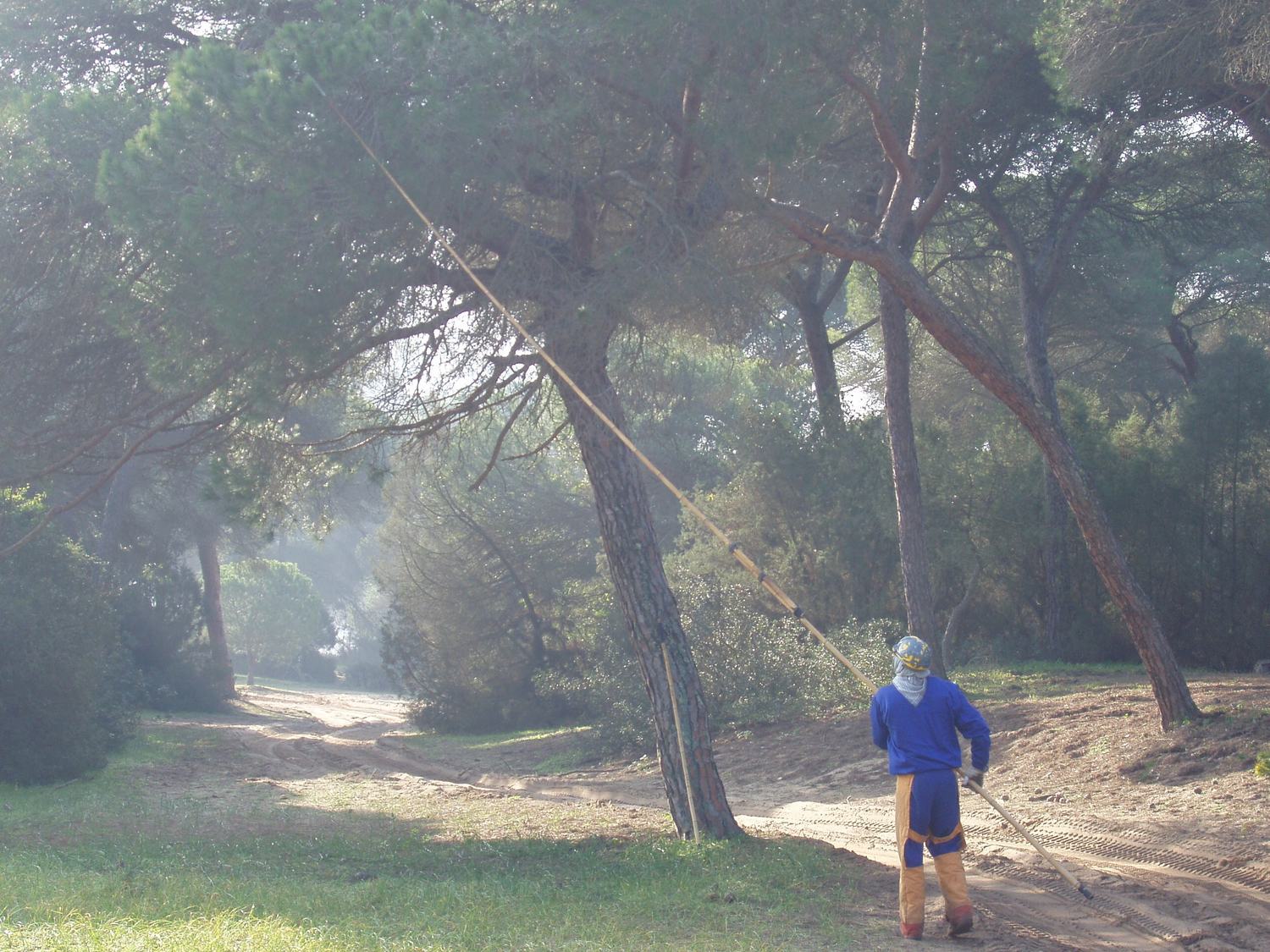 El Alcalde de Almonte insiste en que el acuerdo por Doñana «debe incluir también la aportación al territorio»