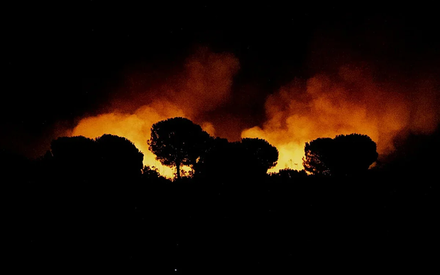 Almonte ofrece su recinto ganadero para acoger animales evacuados por el incendio de Niebla