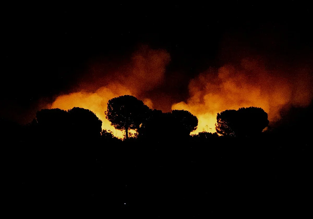 Almonte ofrece su recinto ganadero para acoger animales evacuados por el incendio de Niebla