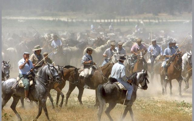 Almonte sale en defensa de sus yegüerizos y pide diálogo para proteger sus derechos en la marisma