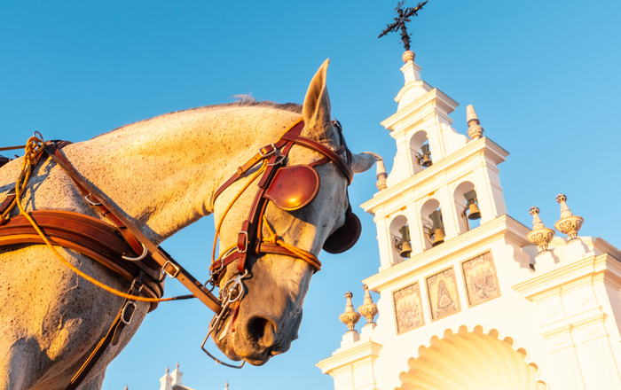 Almonte refuerza el bienestar animal con 15 abrevaderos y 12 zonas de ducha para caballos en El Rocío