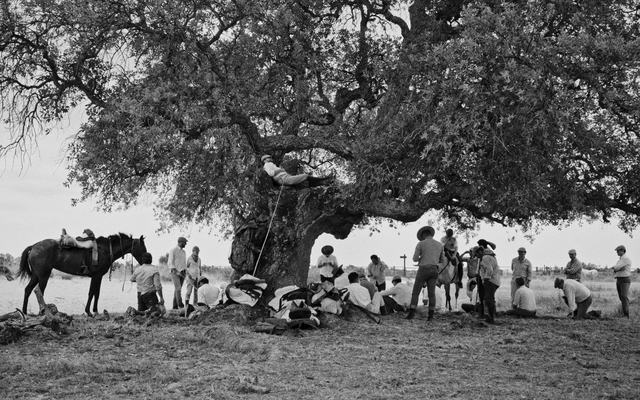 Almonte proyectará gratuitamente el documental “La Marisma” en el Teatro Salvador Távora