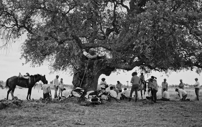 Almonte proyectará gratuitamente el documental “La Marisma” en el Teatro Salvador Távora