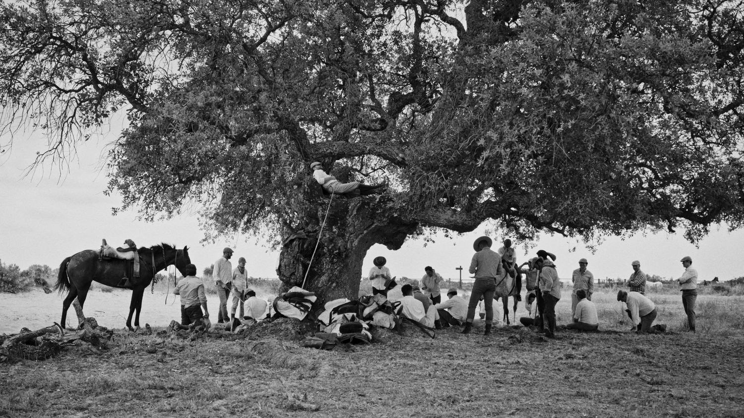 Almonte proyectará gratuitamente el documental “La Marisma” en el Teatro Salvador Távora