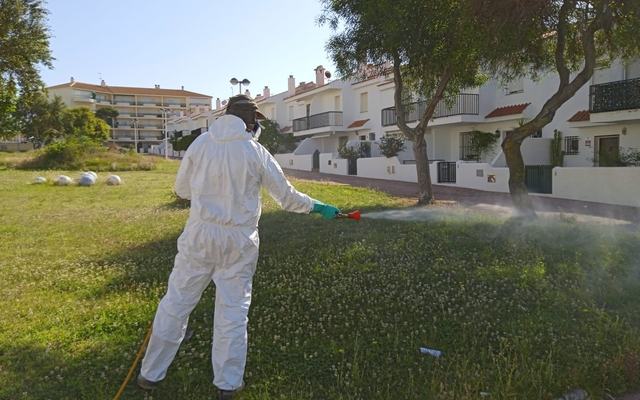 Almonte intensifica la fumigación contra los mosquitos tras uno de los años más lluviosos de las últimas décadas