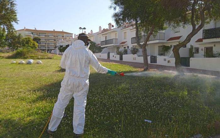 Almonte intensifica la fumigación contra los mosquitos tras uno de los años más lluviosos de las últimas décadas