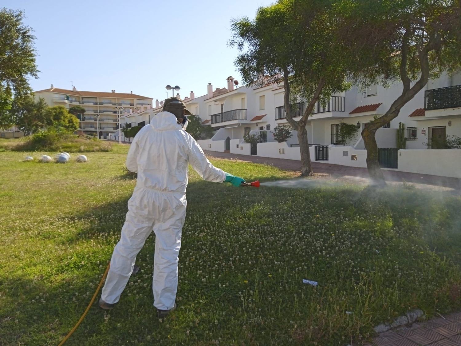 Almonte intensifica la fumigación contra los mosquitos tras uno de los años más lluviosos de las últimas décadas