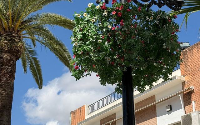 Los colgantes florales de la Venida de la Virgen embellecen Almonte y despiertan el interés vecinal para su expansión