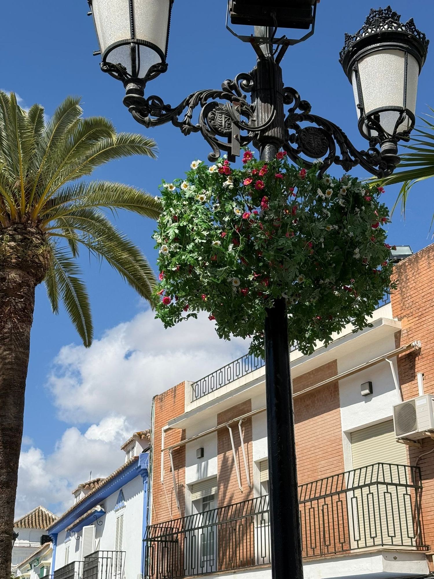 Los colgantes florales de la Venida de la Virgen embellecen Almonte y despiertan el interés vecinal para su expansión