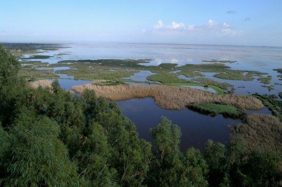 Doñana