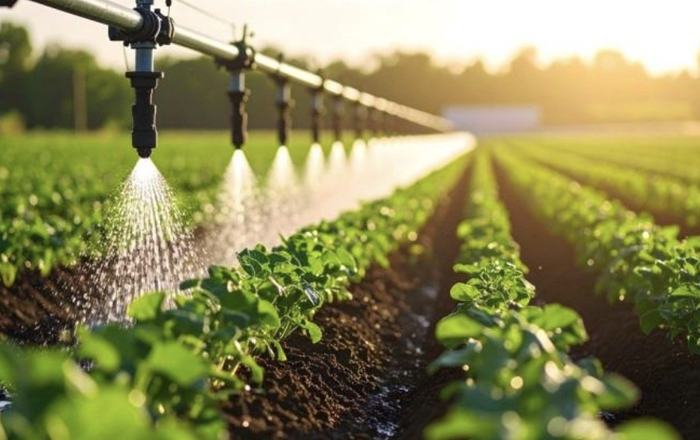Los agricultores de Almonte reducen su consumo de agua un 15% y refuerzan su eficiencia