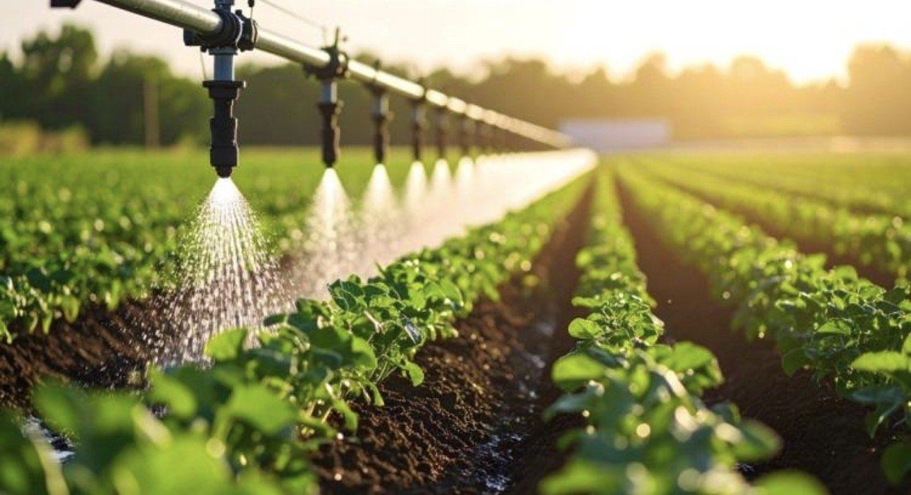 Los agricultores de Almonte reducen su consumo de agua un 15% y refuerzan su eficiencia