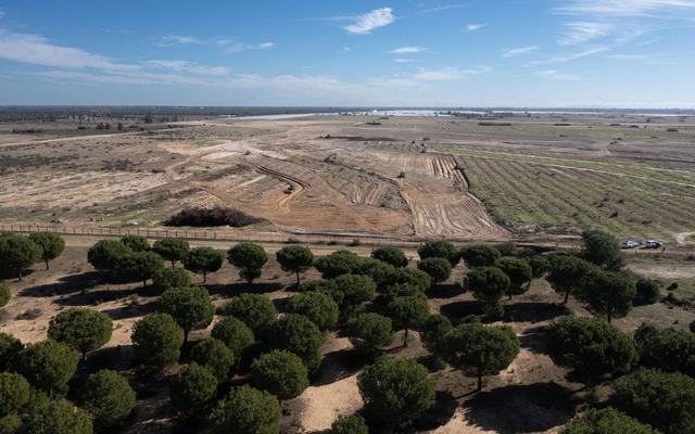 Seis millones de euros para sumar 1.000 hectáreas restauradas a Doñana en Almonte